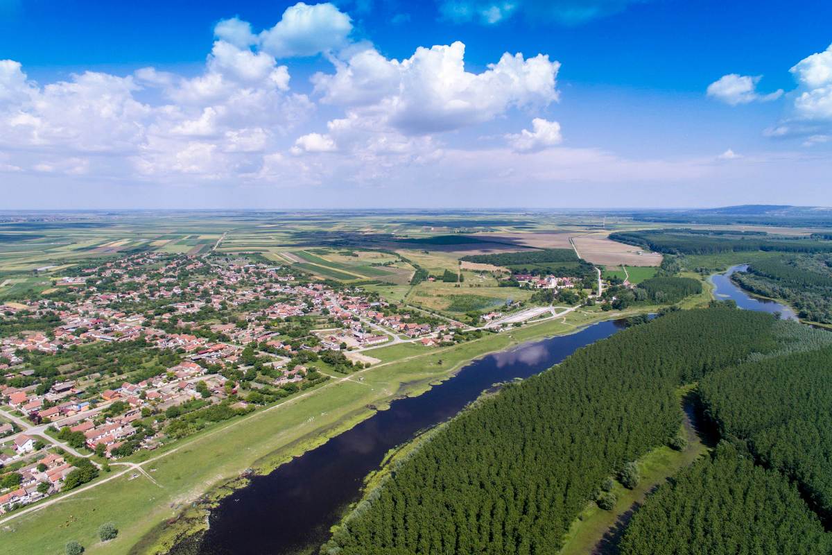 Wetland - Kovilj 2 Wetland - Kovilj 2