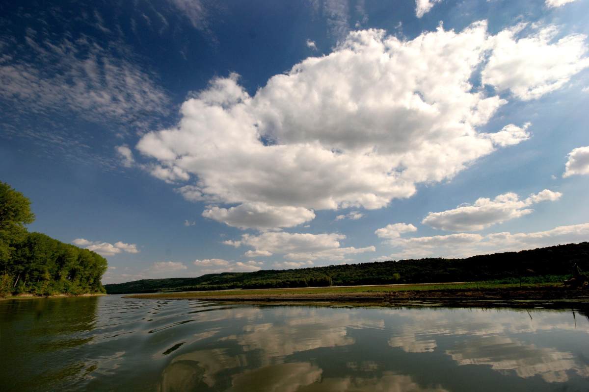 Wetland -Novi Sad Wetland -Novi Sad
