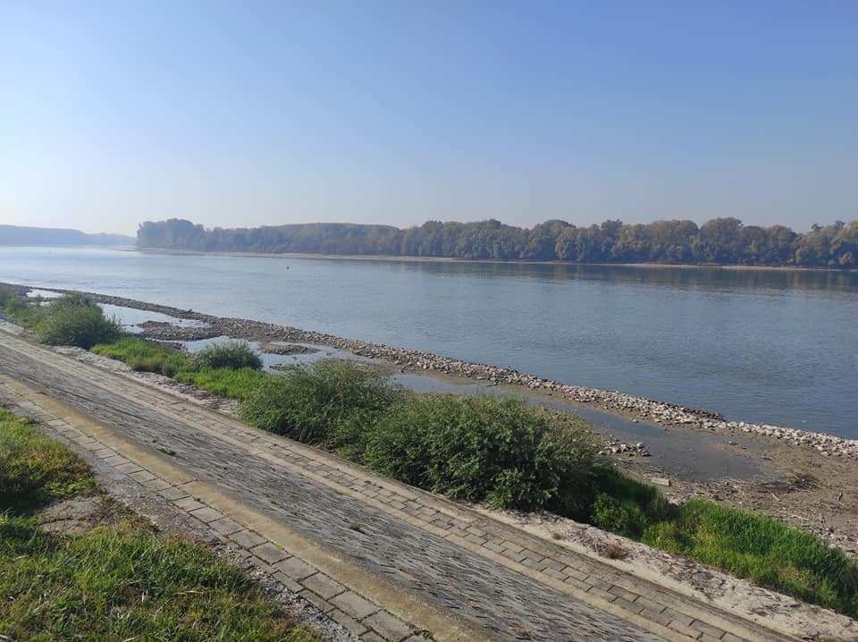 Dunav kod Apatina